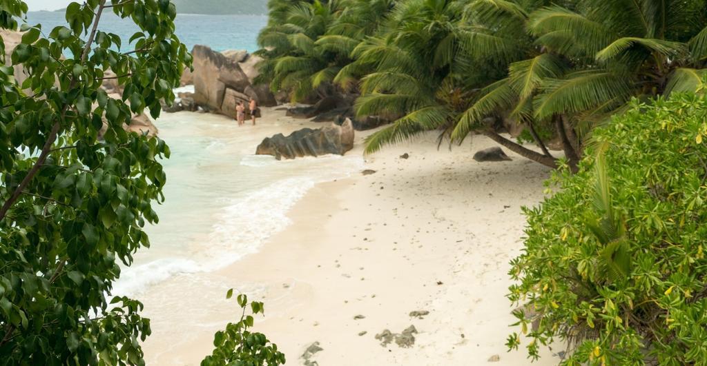 Patatran Village Hotel Đảo Đảo La Digue Ngoại thất bức ảnh